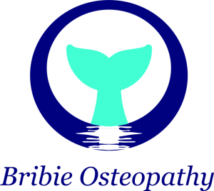 Bribie Osteopathy Final Logo Blue text